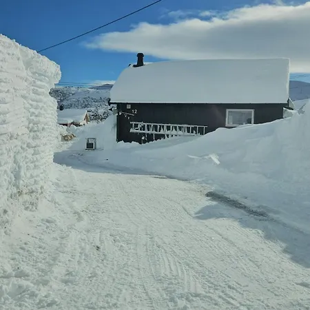 Family Near Rallarvegen And Geilo