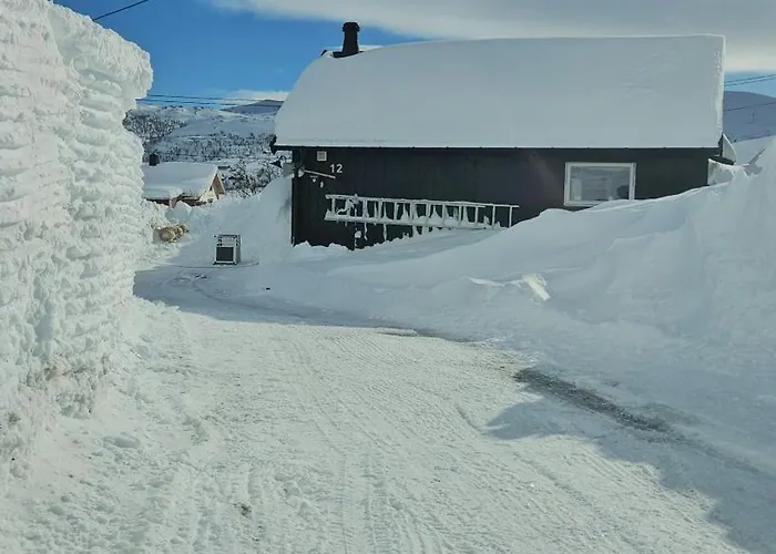 Family Near Rallarvegen And Geilo